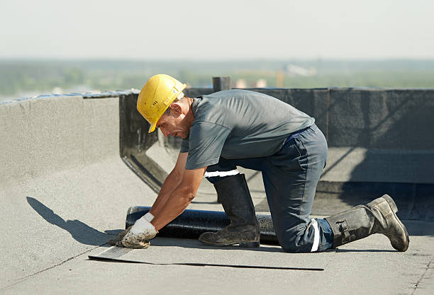 Best Affordable Insulation Services  in Maynardville, TN